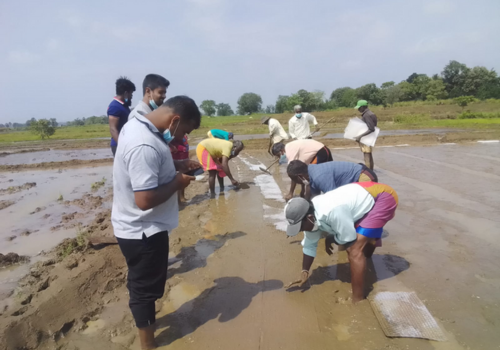 Photo 281: